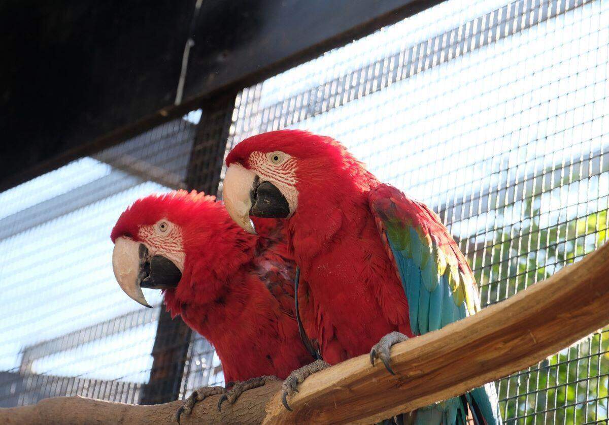 Johannesburg Zoo